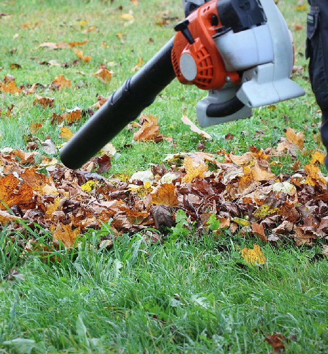 Blower Clean-Up Service