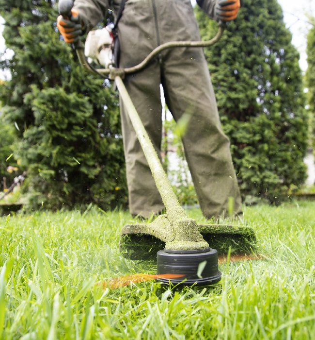 Grass Cutting Service