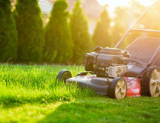 Lawn Maintenance