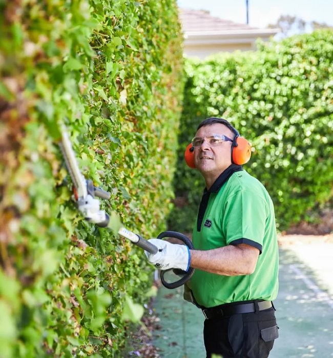 Hedging Service
