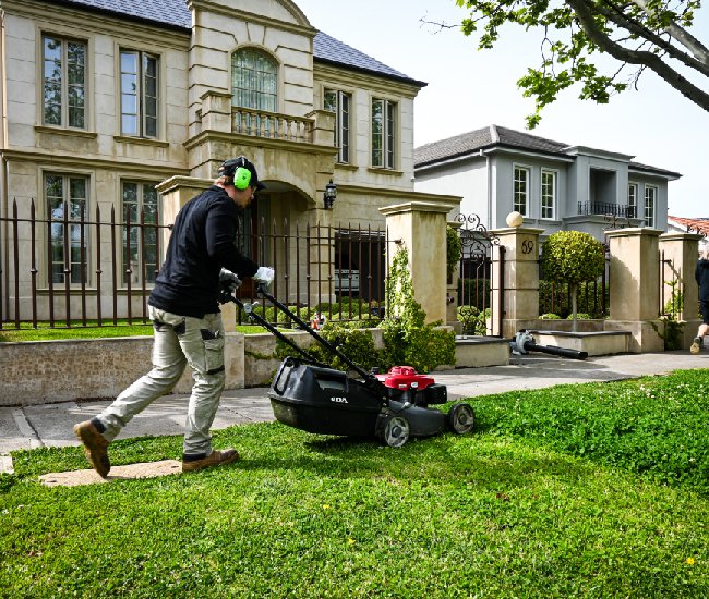 Lawn Maintenance