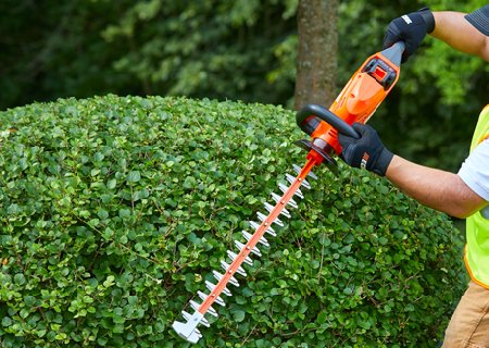 Hedge Trimming